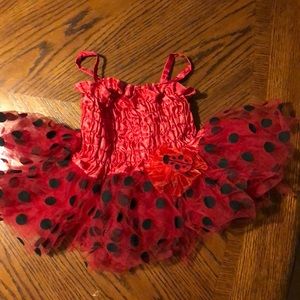 Lady Bug Tutu Costume 🐞